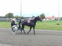 Træning på Charlottelund Travbane